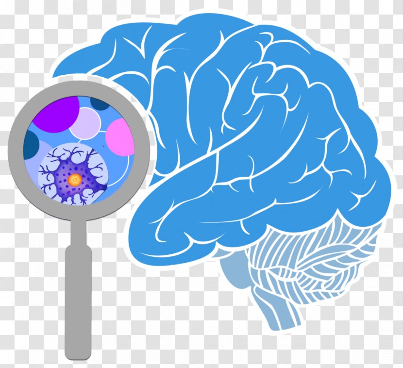 BRAIN Initiative Human Brain Neuron Neuroscience - Frame Transparent PNG