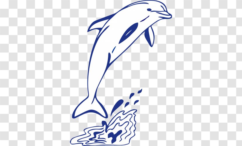 Dolphin Clip Art Drawing Image Photography - Bottlenose Transparent PNG