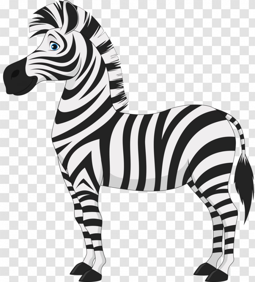 Sunrise Pediatric Neurology Foal Zebra Clip Art - Quagga - Cartoon Transparent PNG