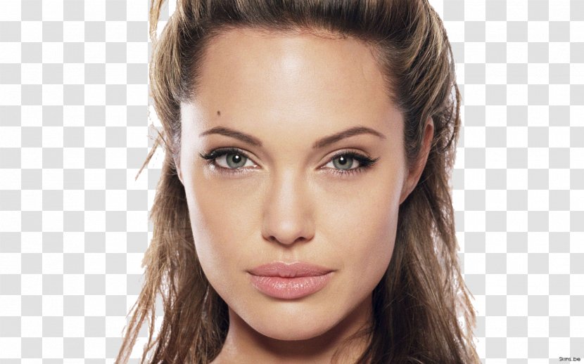 Angelina Jolie Lara Croft: Tomb Raider Hollywood Actor Image - Silhouette Transparent PNG