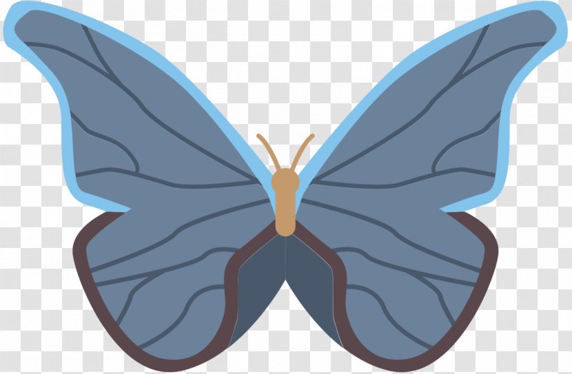 M. Butterfly Moth Purple Symmetry Cartoon - Azure Transparent PNG