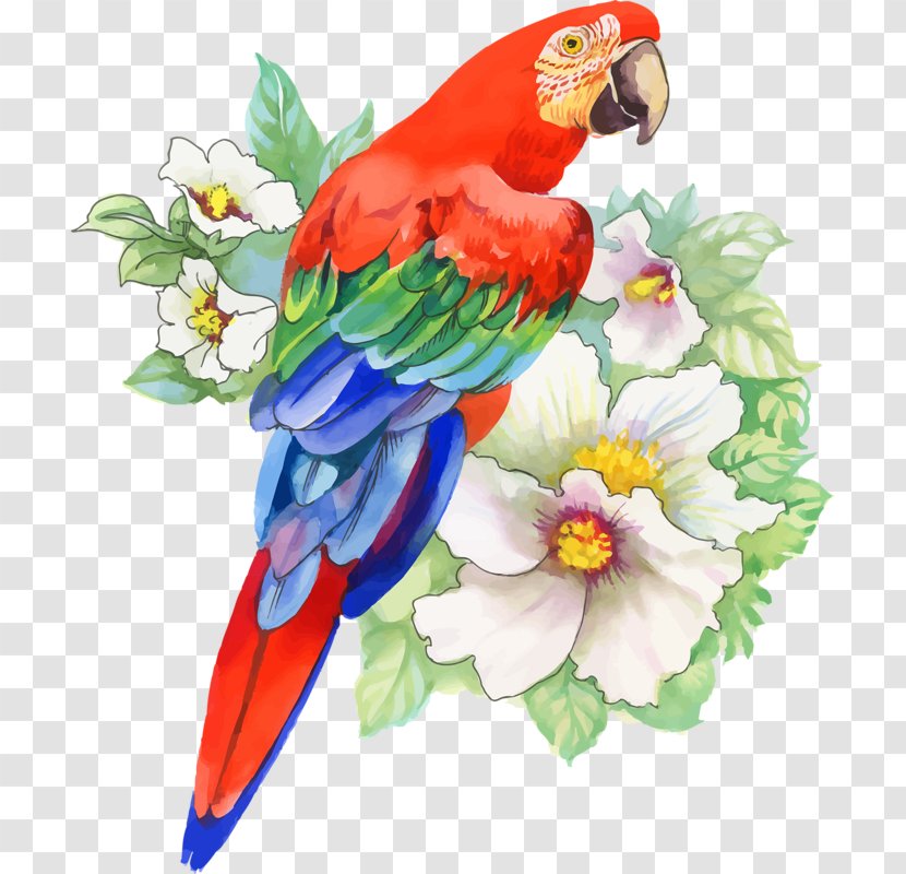 Bird Parrot Drawing Watercolor Painting - Macaw Transparent PNG