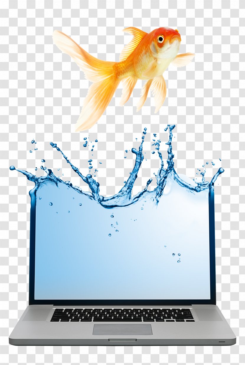 Laptop Advertising Notebook Business Marketing - Computer Monitor - Goldfish And Transparent PNG