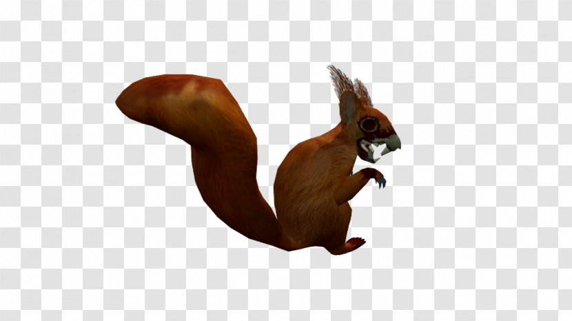 Squirrel Rodent Animation Animal - Rabbit Transparent PNG