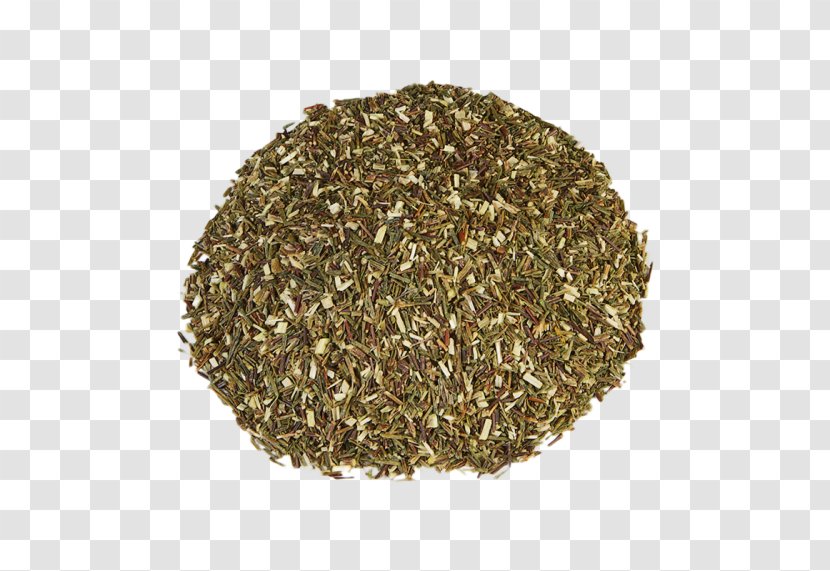 Seed Grasses Rye Lawn Lolium Perenne - Agaricus - Rooibos Transparent PNG