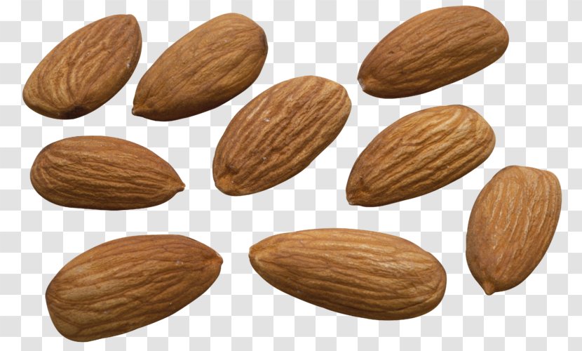 Desktop Wallpaper Almond Biscuit Apricot Kernel - Plant - French Bean Almonds Transparent PNG