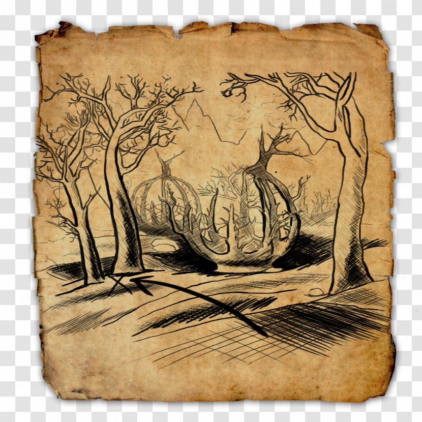 Elder Scrolls Online: Clockwork City Treasure Map The II: Daggerfall Cyrodiil - Drawing Transparent PNG