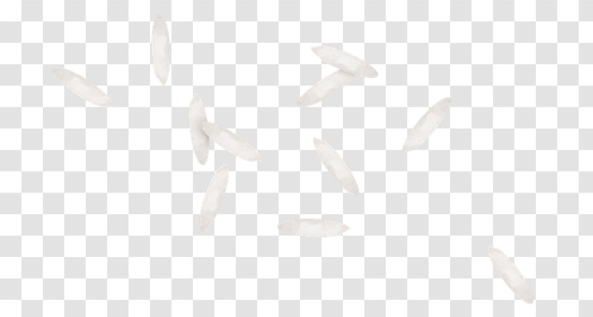 White Petal Flower Clip Art - Lossless Compression - Vip Transparent PNG