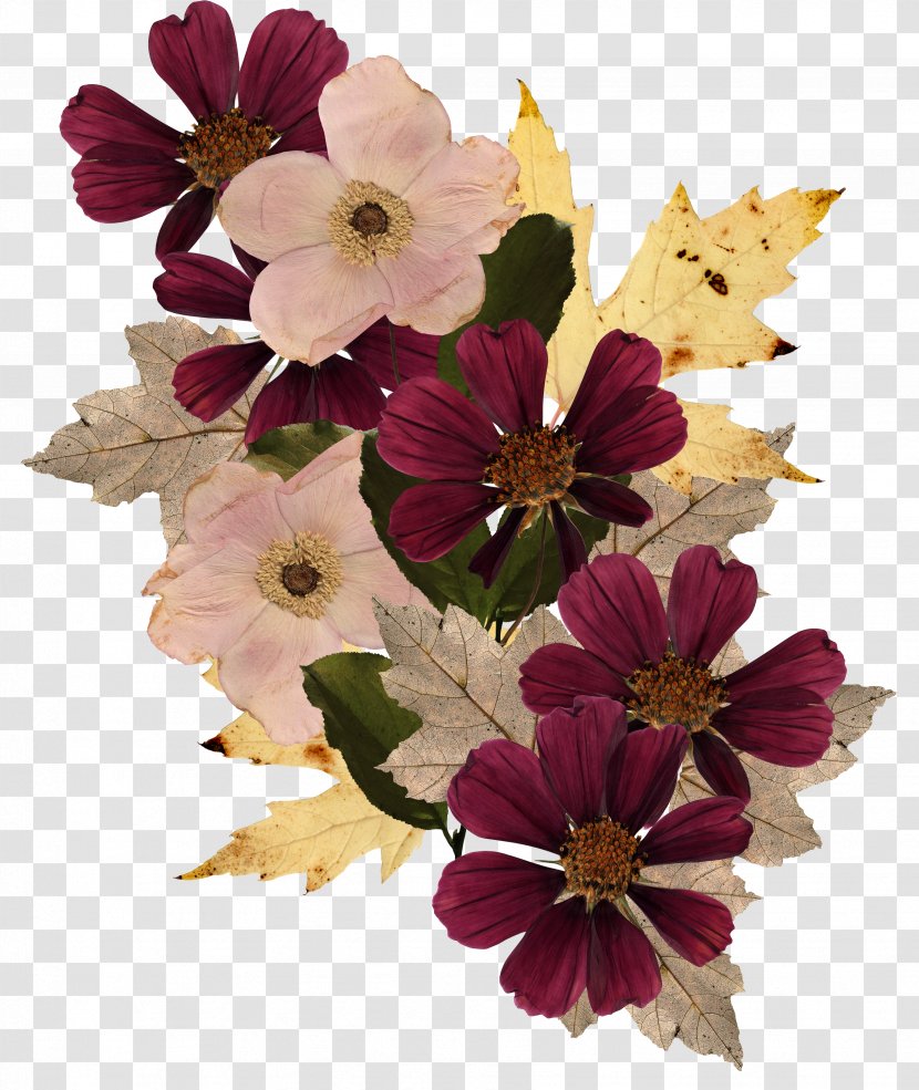 Flower Floral Design Clip Art - Photography - Bouquet Transparent PNG