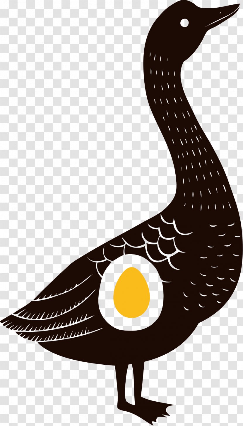 Duck Domestic Goose Drawing Transparent PNG