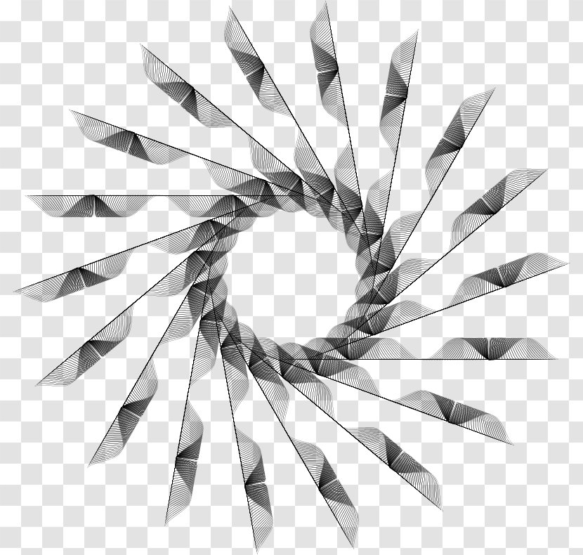 Black And White Photography Optics Drawing Line Art - Monochrome Transparent PNG