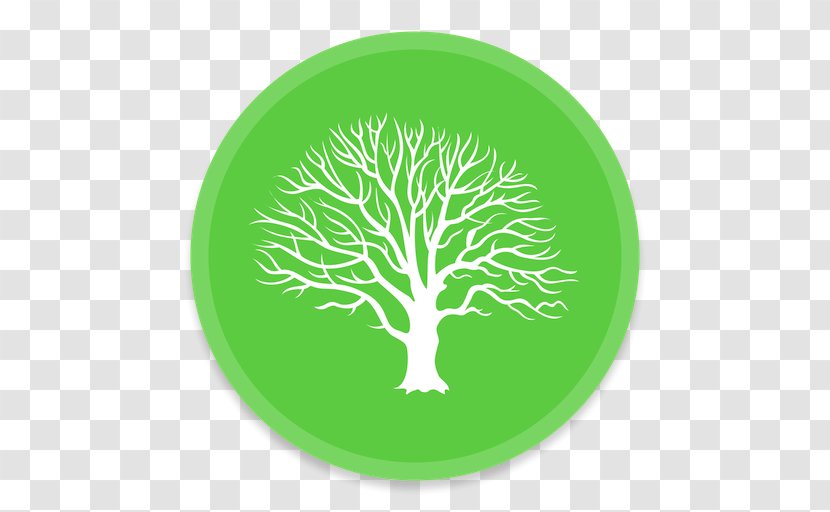 IPhone MacFamilyTree Inno Memorial Desing Genealogy Cannabliss - Tree - Family Transparent PNG