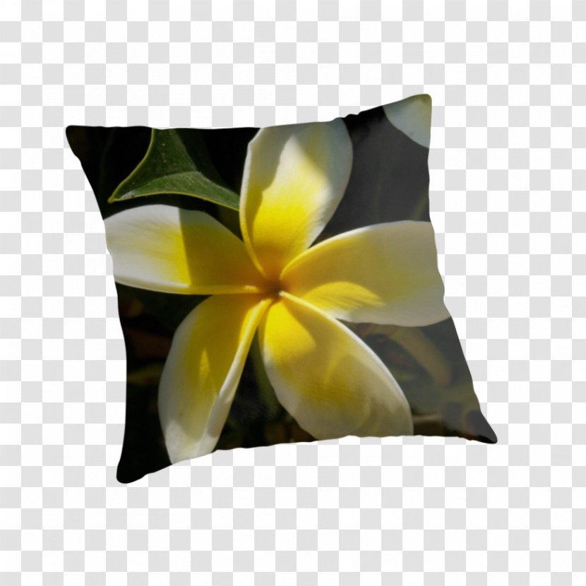 Throw Pillows Cushion Flower Petal - Plumeria Transparent PNG