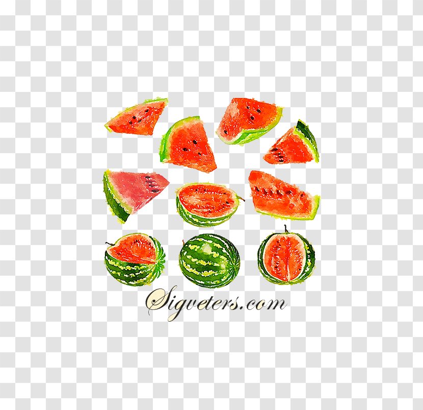Watercolor Painting Auglis Illustration - Cartoon - Juicy Watermelon Picture Material Transparent PNG