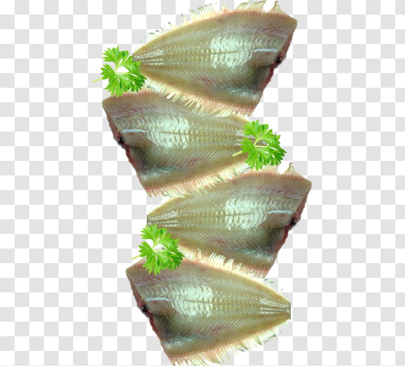 Sashimi Mackerel Seafood Fish Products - Barbecue - Hot Pot Transparent PNG