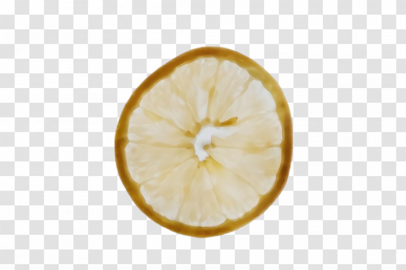 Citrus Lemon Citron Yellow Fruit - Food - Meyer Transparent PNG