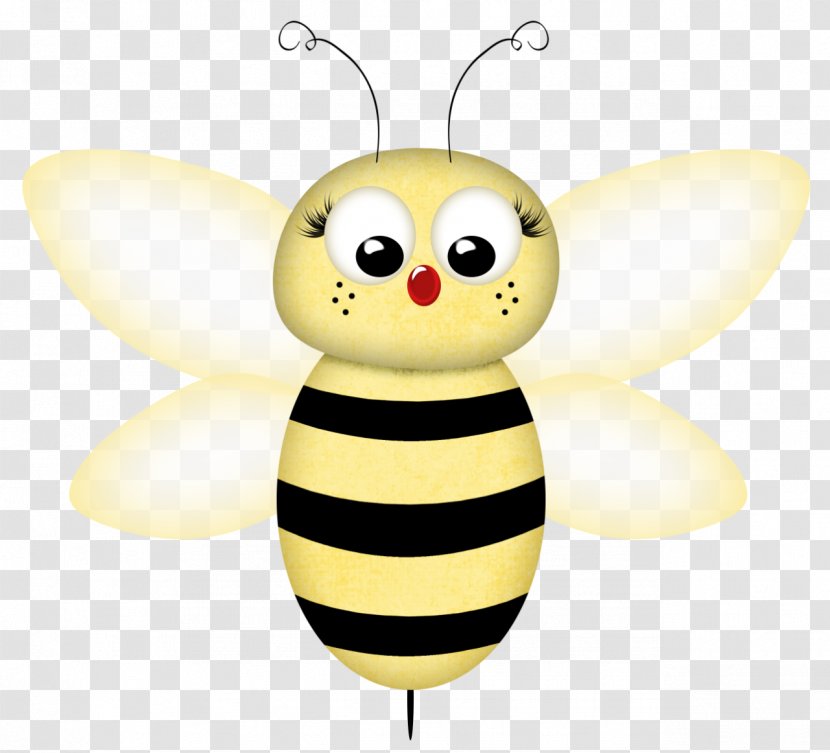 Honey Bee Cartoon Illustration - Insect Transparent PNG