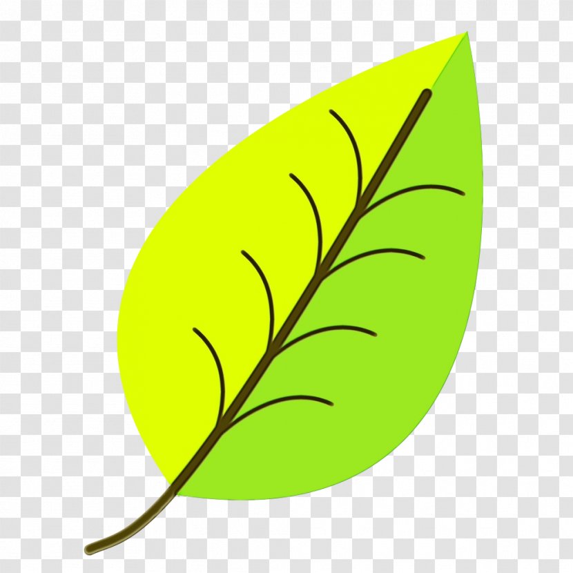 Leaf Yellow Clip Art Plant Tree - Logo Transparent PNG