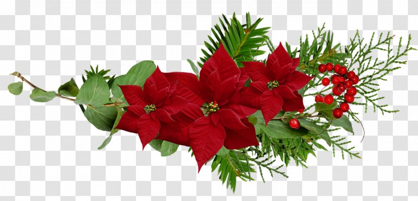 Floral Design Christmas Ornament Cut Flowers - Flowering Plant - Flower Transparent PNG