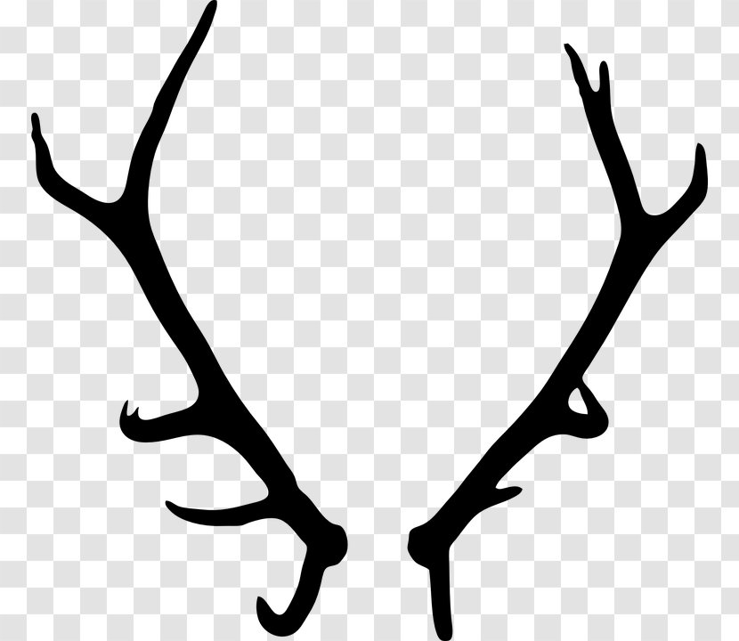 Deer Antler Clip Art - Branch Transparent PNG