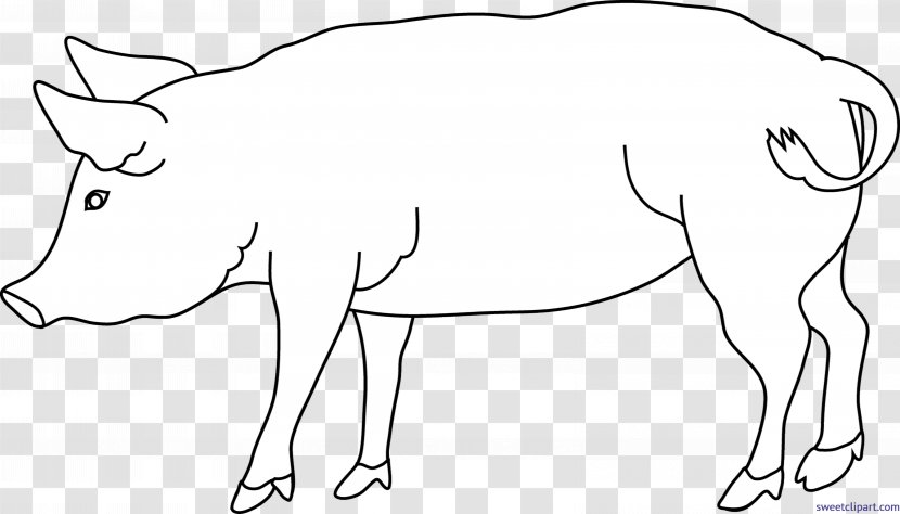 Clip Art Domestic Pig Black And White Image - Tail Transparent PNG
