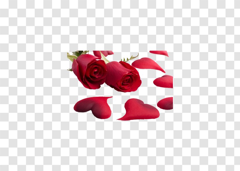 Love Valentines Day Romance International Womens Heart - Rose Transparent PNG