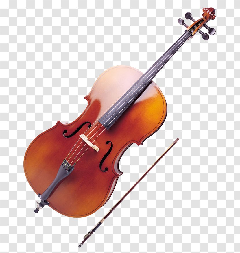 Ukulele Cello Musical Instrument Viola Double Bass - Flower - Violin Transparent PNG