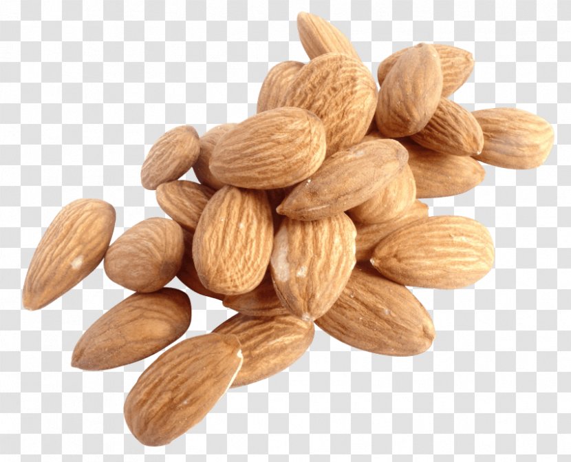Nut Almond Clip Art Vegetarian Cuisine - Fruit Transparent PNG