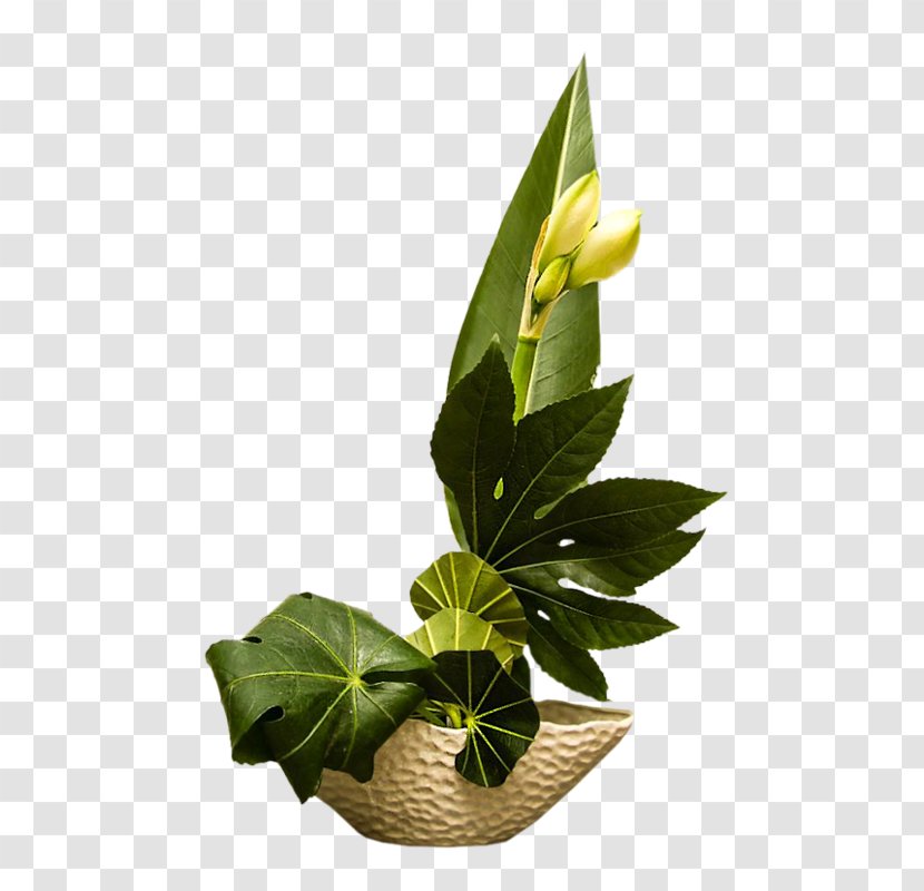 Floral Design Birthday Flowerpot Daytime - Zen Garden Transparent PNG
