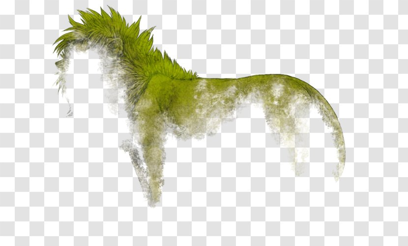 Canidae Dog Tail Wildlife Mammal - Plant Transparent PNG