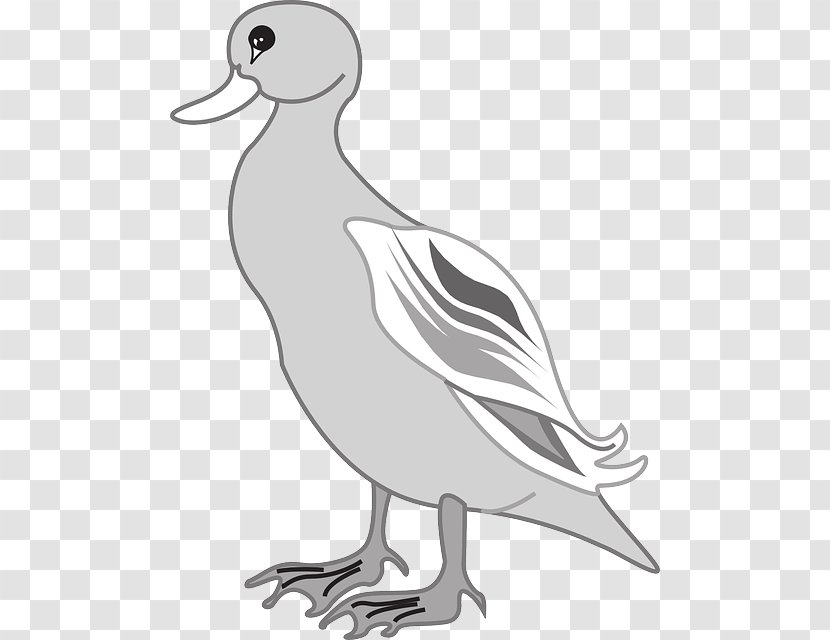 Duck Goose Bird Transparent PNG