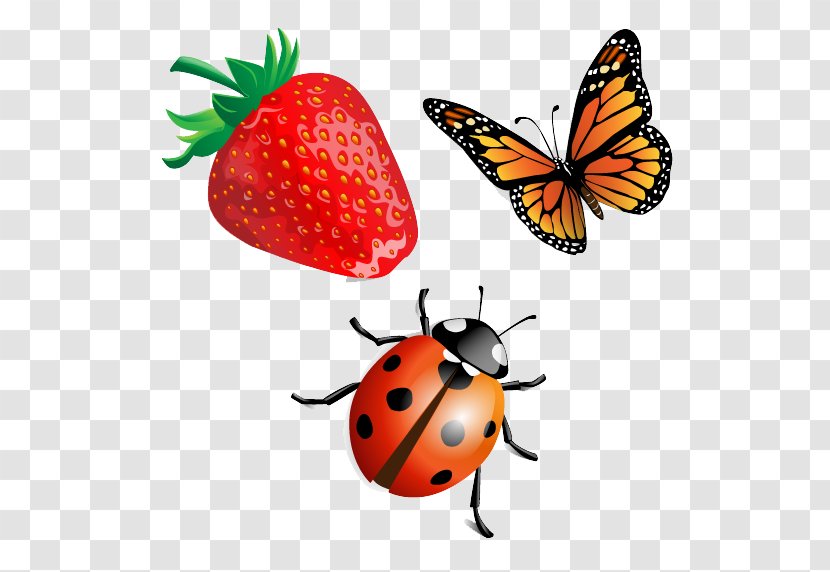 Beetle Ladybird Clip Art - Fruit - Strawberry Butterfly And Ladybug Transparent PNG