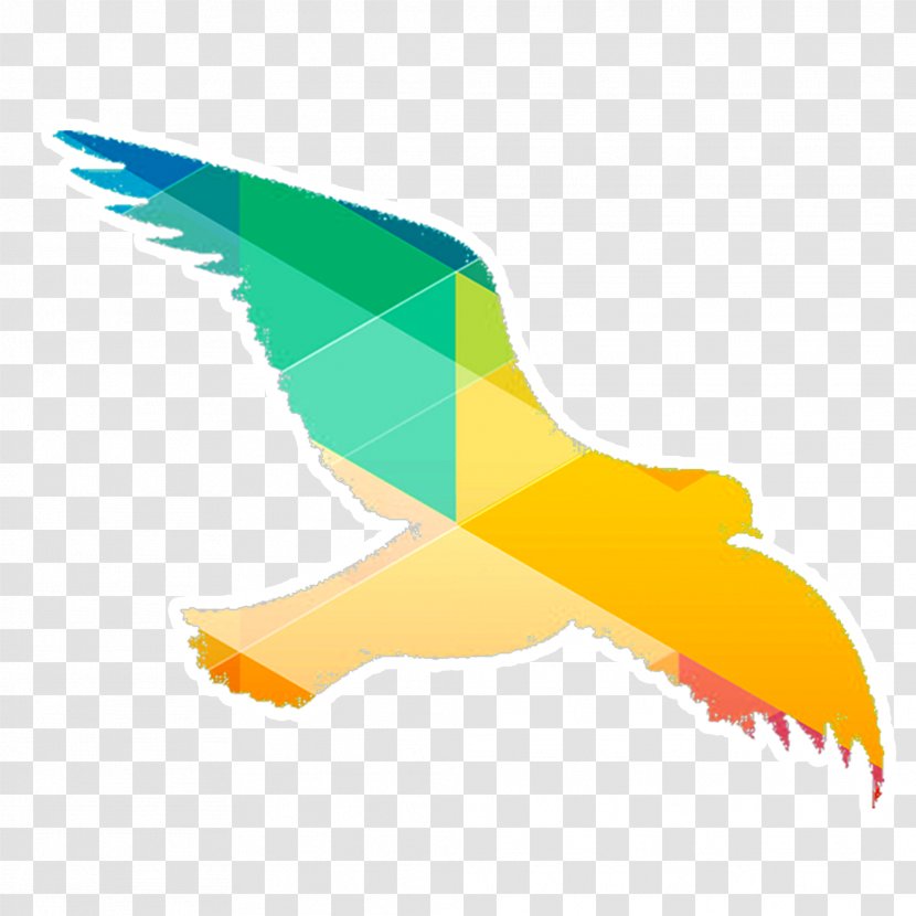 Bird - Dove Color Silhouette Material Transparent PNG