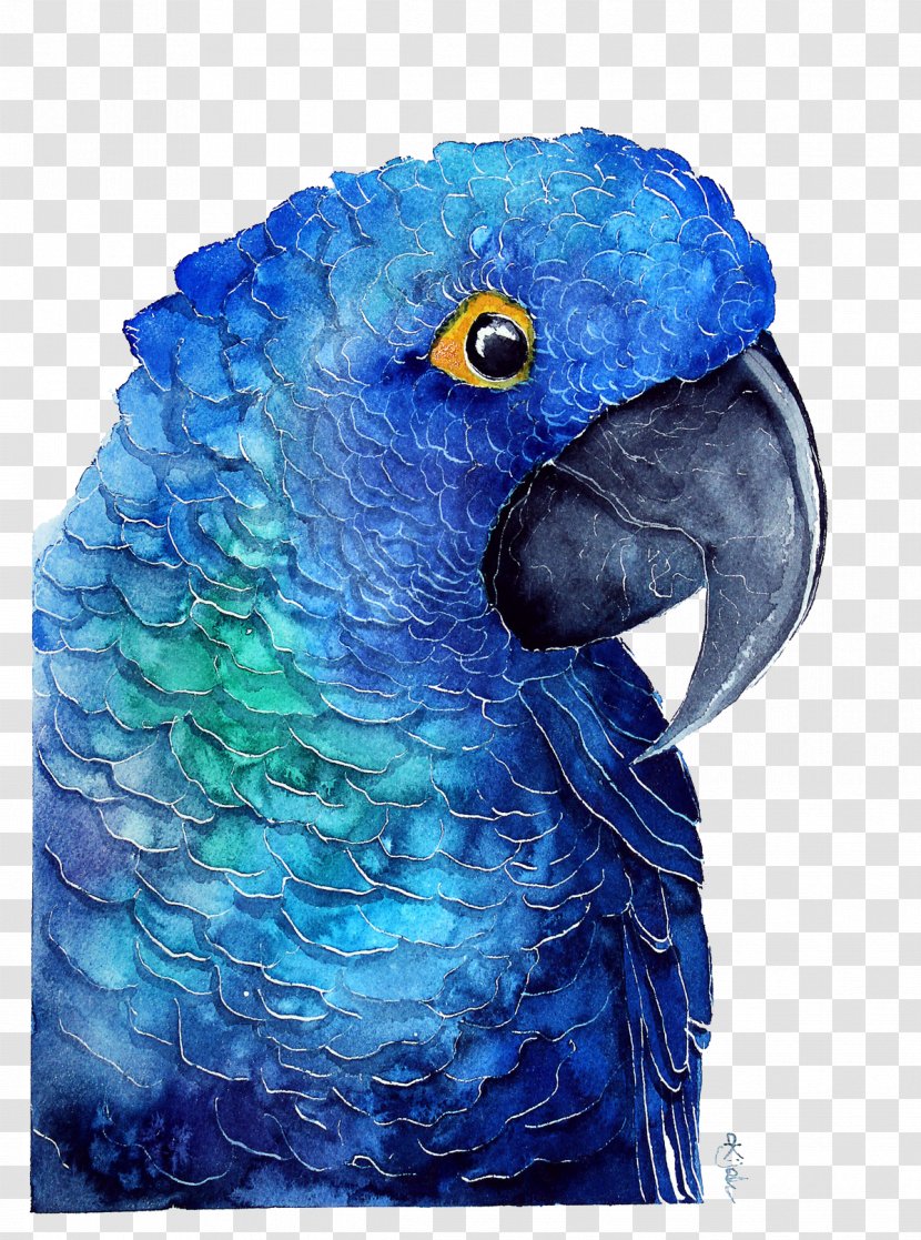Parrot Poster Watercolor Painting - Cobalt Blue Transparent PNG