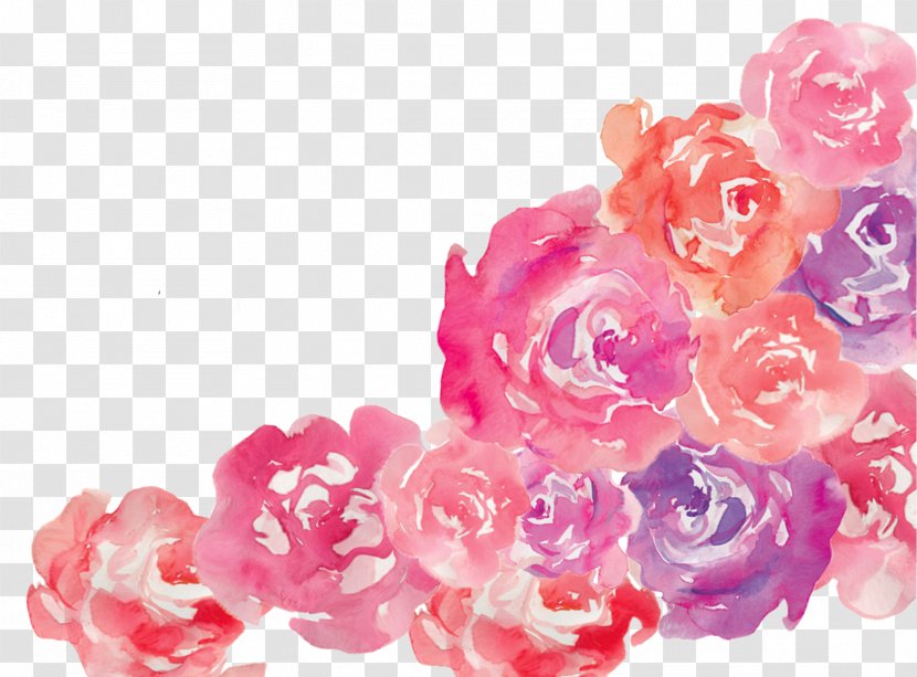 Flower Pink Garden Roses Floral Design - Arranging - Watercolor Rose Transparent PNG