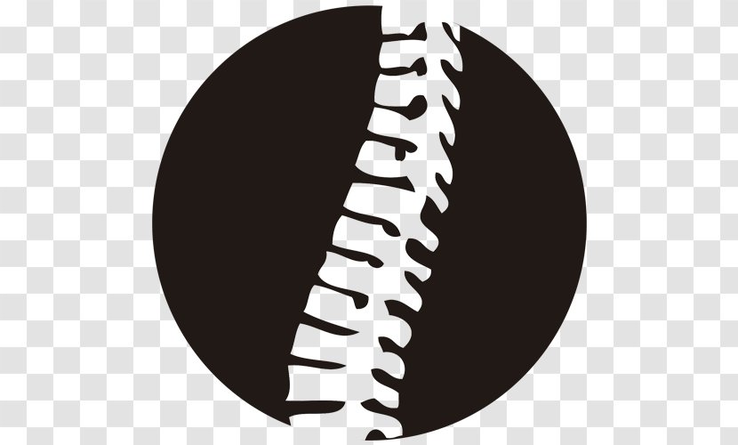 Vertebral Column Pain In Spine Low Back Necktie Chiropractor - Orthopaedics - Fisioterapia Logo Transparent PNG