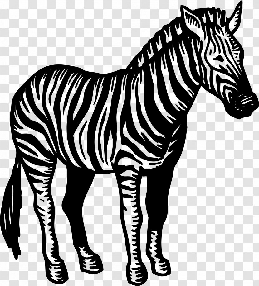 Quagga Mane Zebra Horse Clip Art - Animal Figure Transparent PNG