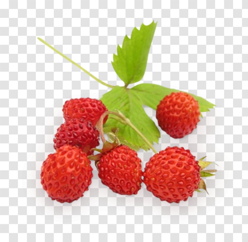 Wild Strawberry Slatko Raspberry - Superfood Transparent PNG