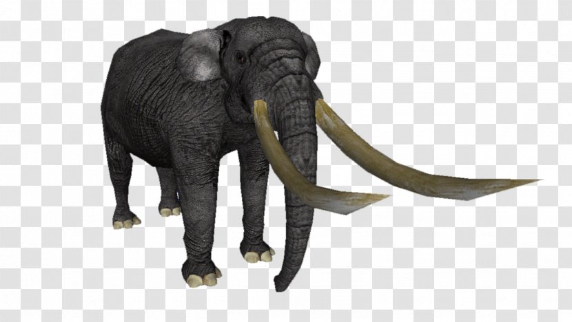 African Bush Elephant Asian Megafauna Google Sites Stegodon - Animal - Baleen Transparent PNG