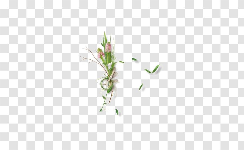 Leaf Green Clip Art - Branch - Grass Transparent PNG