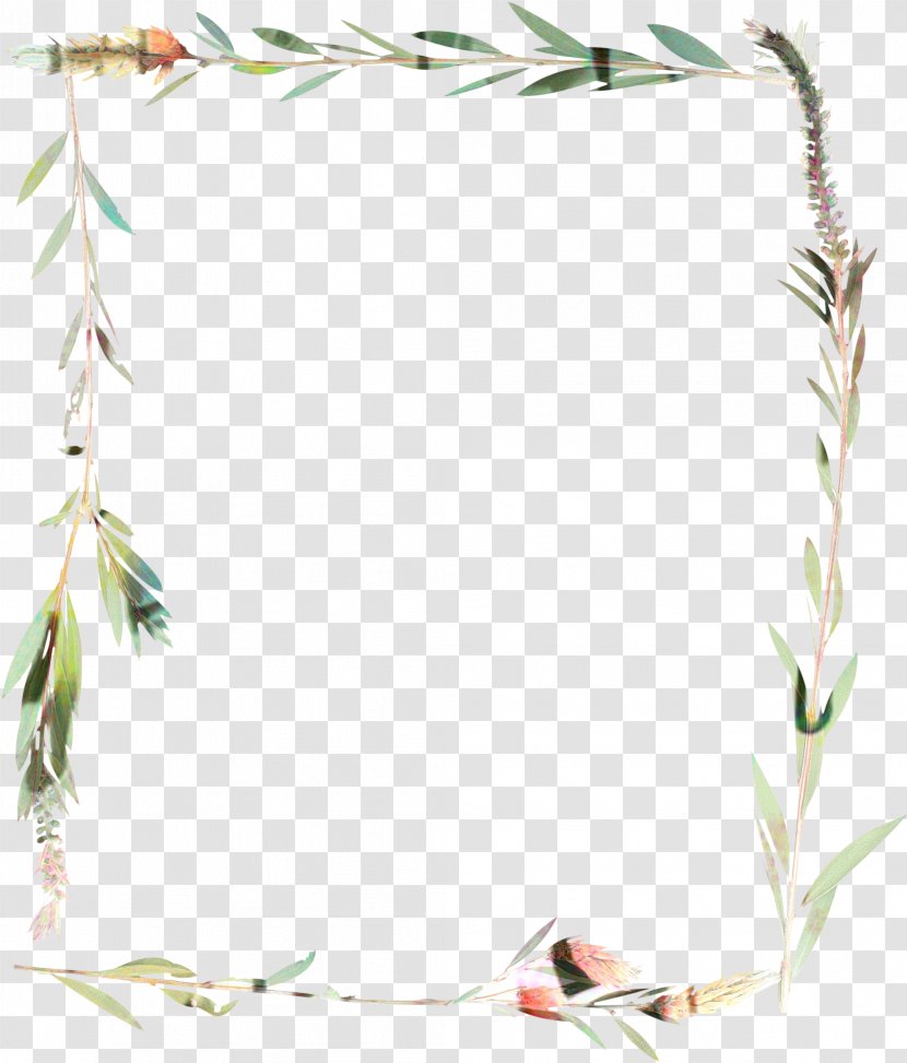 Background Design Frame - Plant Stem - Picture Transparent PNG