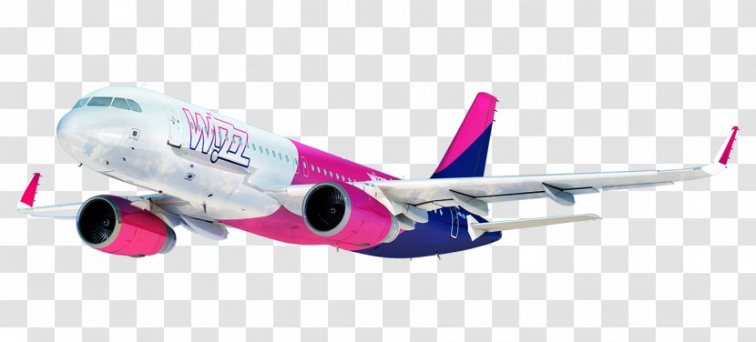 Airplane Flight David The Builder Kutaisi International Airport Wizz Air Travel - Boeing 737 - Transfer Transparent PNG
