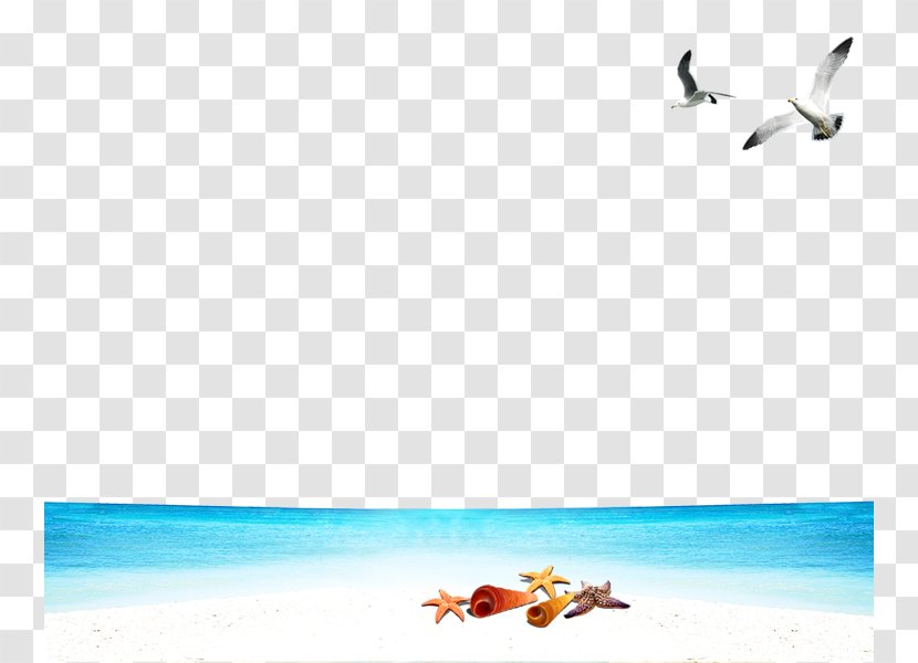 Seagull Beach Wallpaper - Sea - Free Buckle Material Transparent PNG