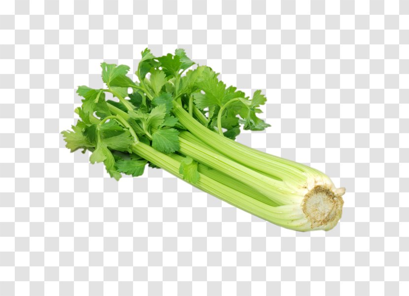 Celery Vegetable Chinese Cabbage Brussels Sprout - Leaf - Grandma Transparent PNG