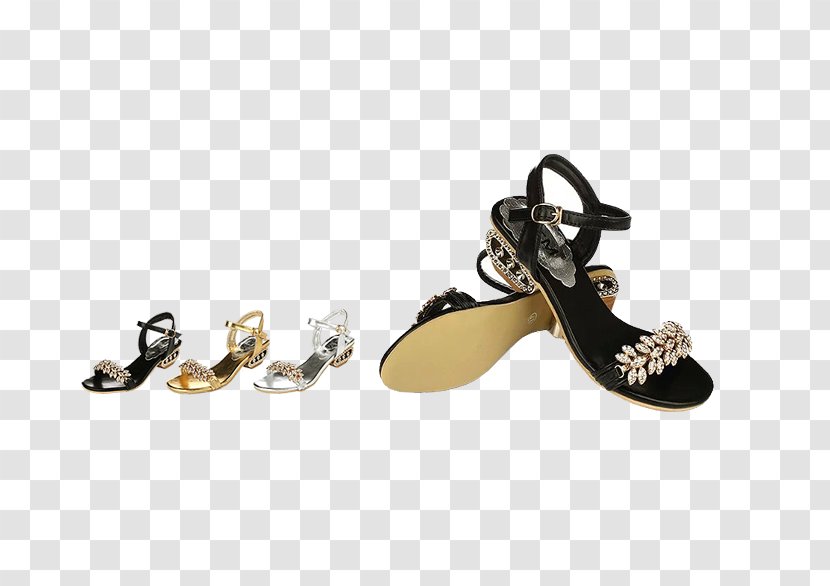 Flip-flops Sandal Shoe Boot High-heeled Footwear - Flipflops - Ms. Sandals Transparent PNG