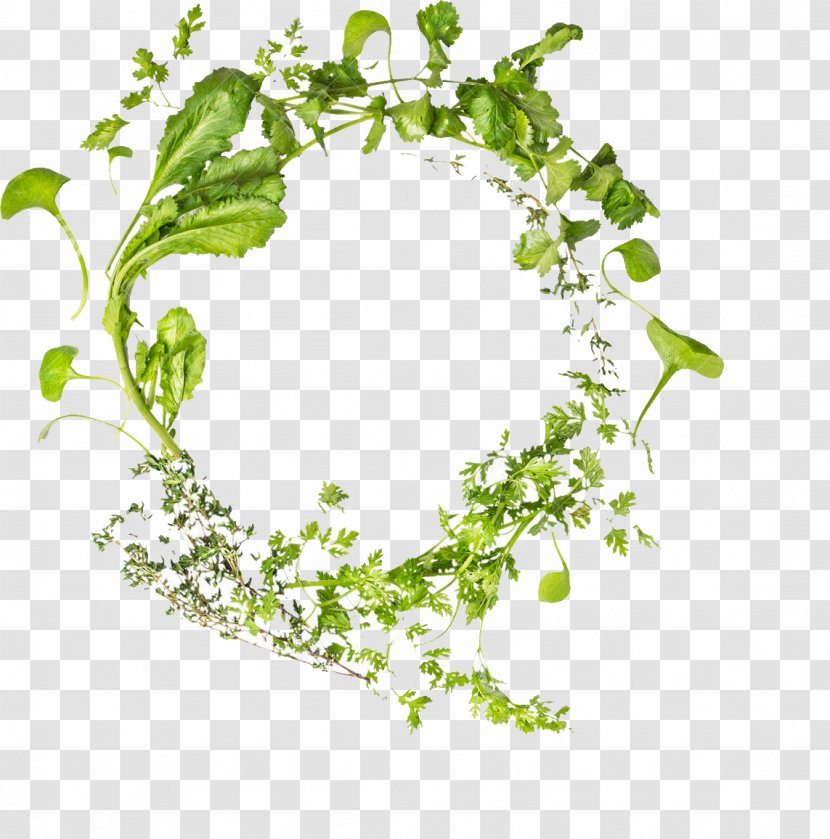 Green Garland - Point - Area Transparent PNG