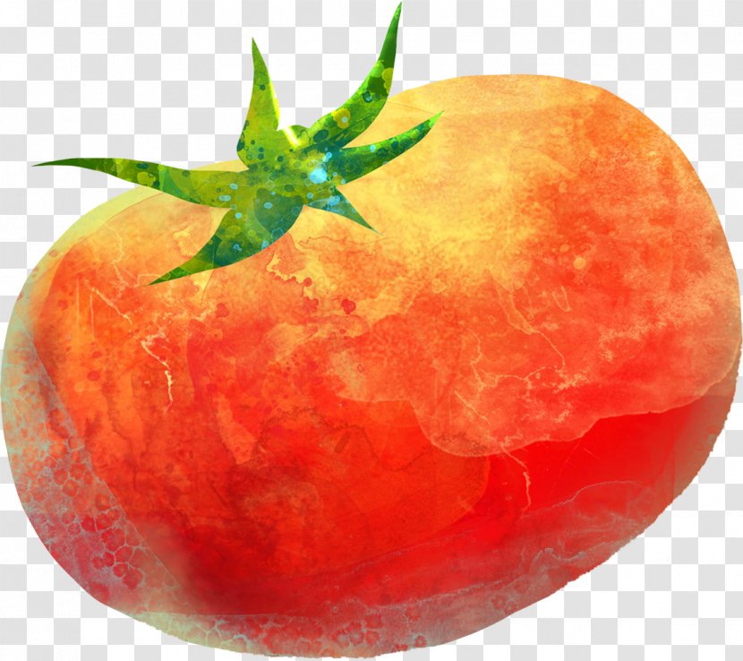 Tomato Painting Computer File - Food Transparent PNG