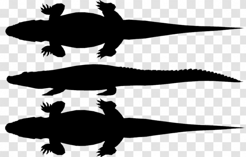 Turtle Amphibians Fauna Clip Art Silhouette - Crocodile - Alligator Transparent PNG