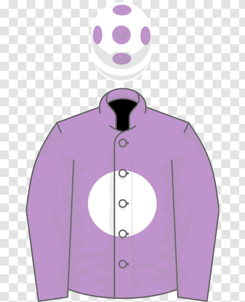 Thoroughbred Horse Trainer Jockey Breeders' Cup Classic Racing - 2017 Kentucky Derby - Hill Top Transparent PNG