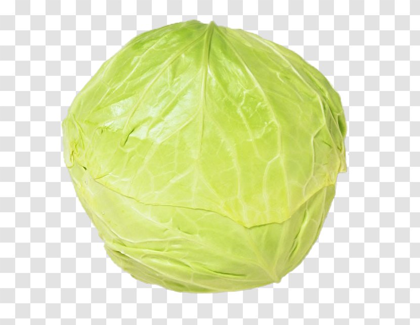 Cabbage Download Vegetable Icon - Single Transparent PNG